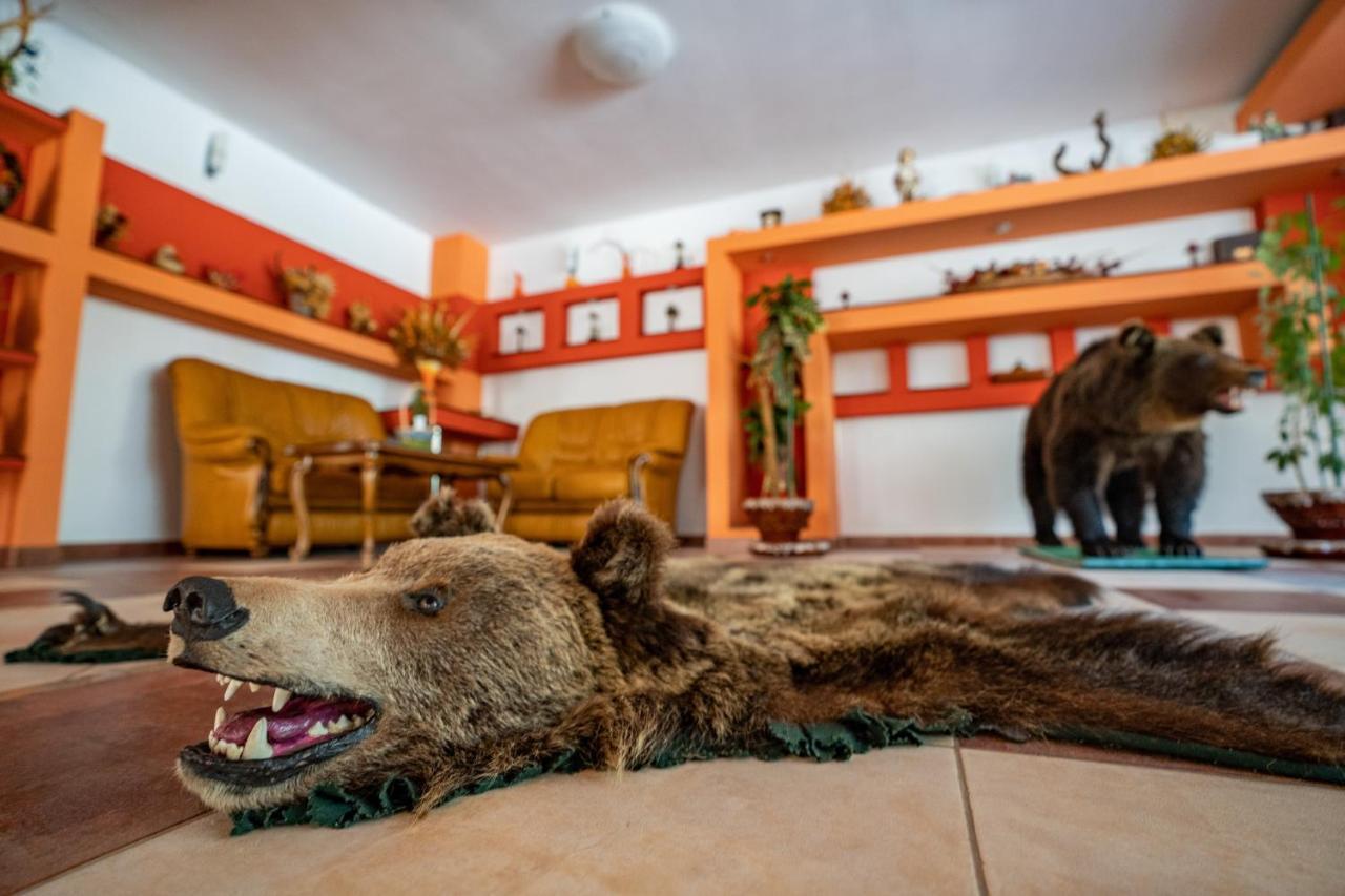 Pensiunea Sura Dacilor - Alex Poiana Brasov Bagian luar foto