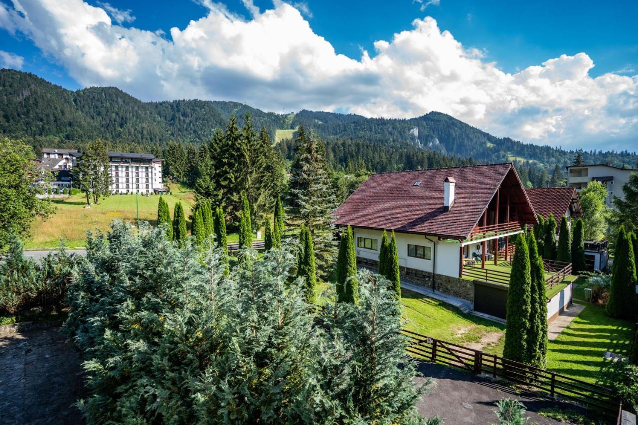 Pensiunea Sura Dacilor - Alex Poiana Brasov Bagian luar foto