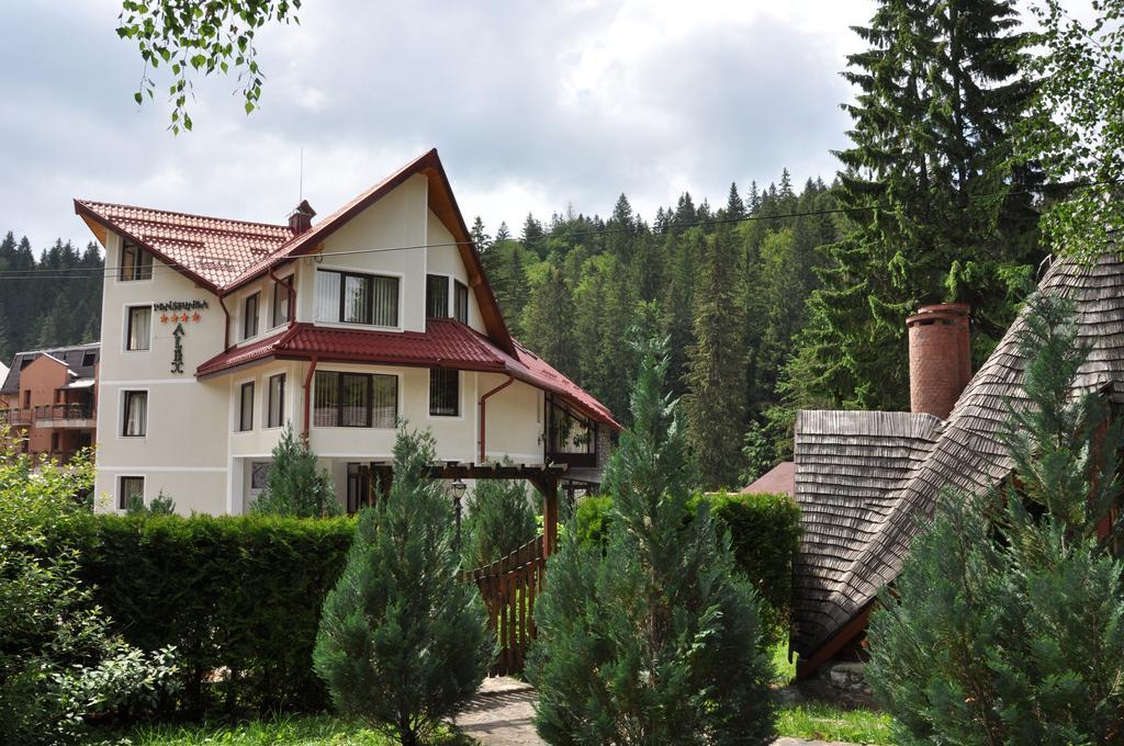 Pensiunea Sura Dacilor - Alex Poiana Brasov Bagian luar foto